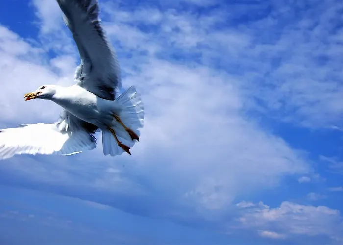 Nymfes Villa Porto Heli