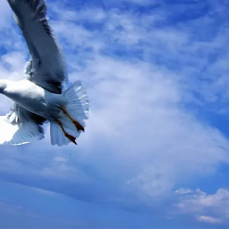 Nymfes Villa Porto Heli